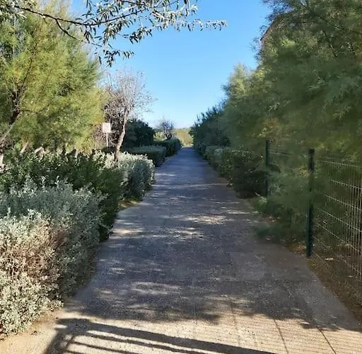 Avec Mezzanine Classe 3 Etoiles En Bord De